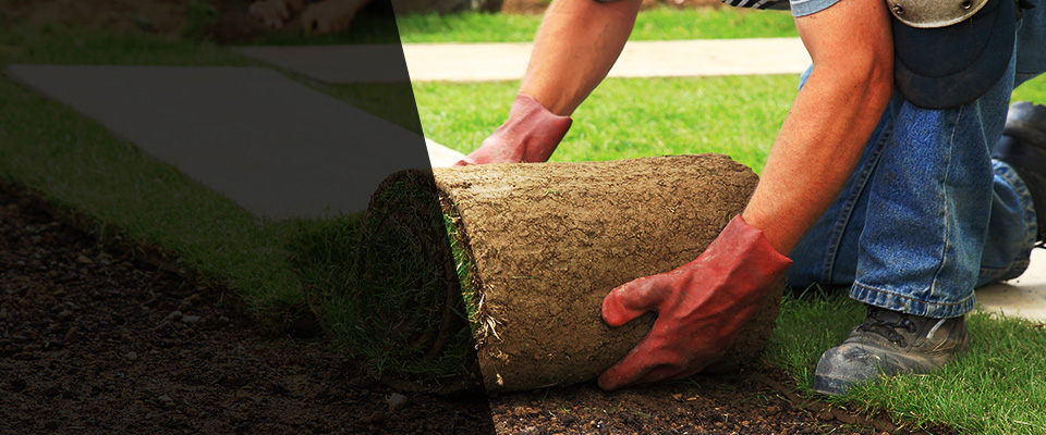 Varnville Landscapers